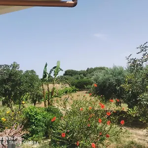 Appartamento Vacanze Baglio Sances, Birgi Vecchi